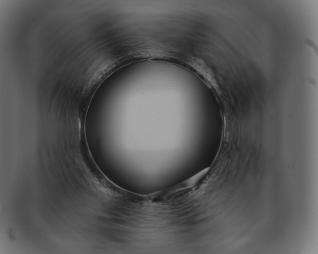 X0000091170109200709060942