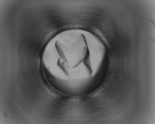 X0000091170110200709060942