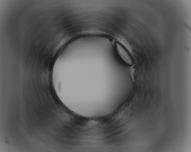 X0000091170111200709060942