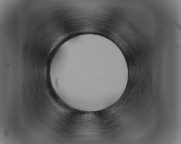 X0000091170112200709060942