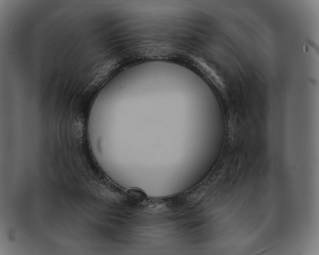 X0000091170113200709060942