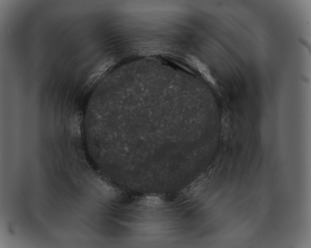 X0000091170114200709060942