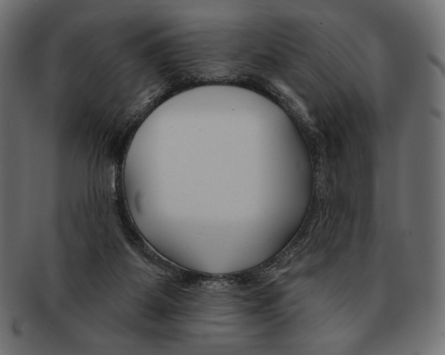 X0000091170115200709060942