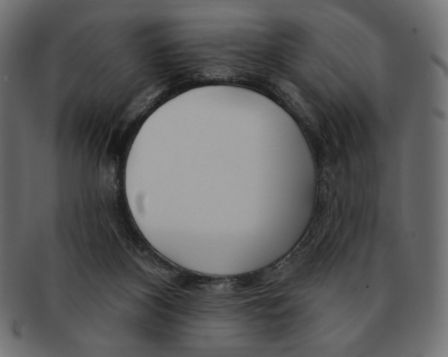 X0000091170116200709060942