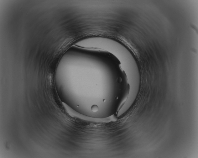 X0000091170117200709060942