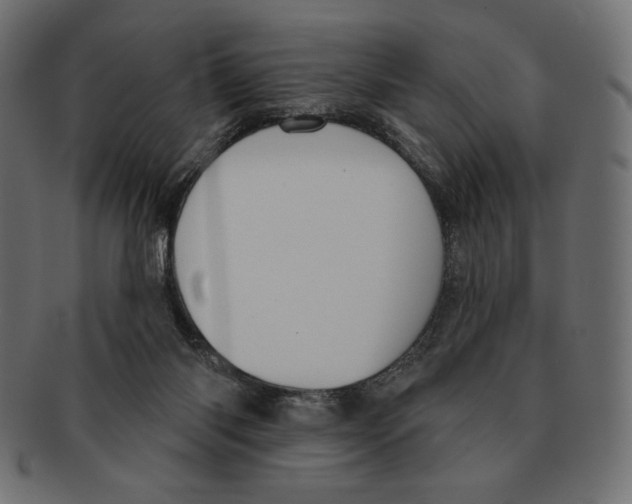 X0000091170118200709060942