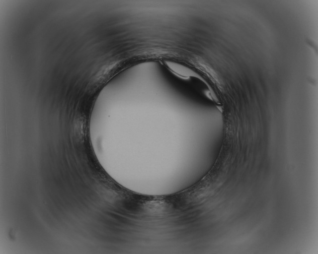 X0000091170119200709060942