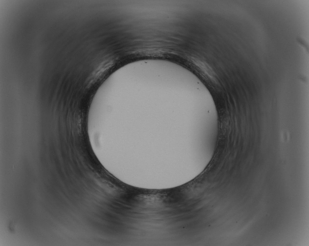 X0000091170120200709060942