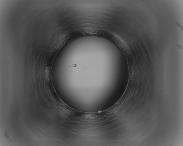 X0000091170121200709060942