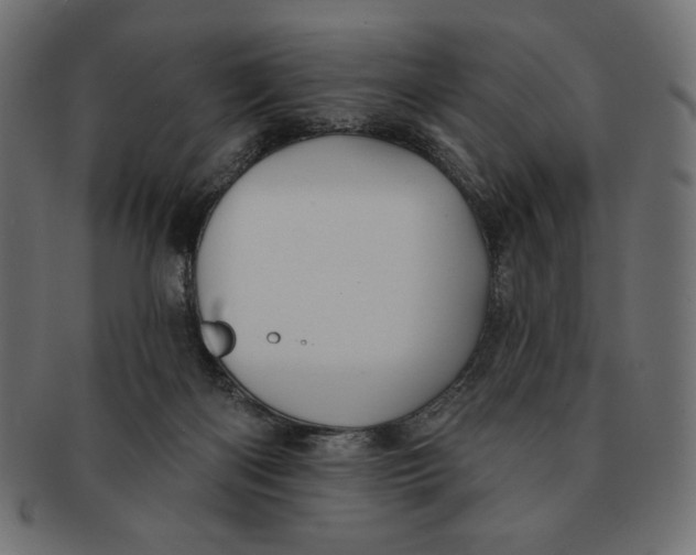 X0000091170122200709060942