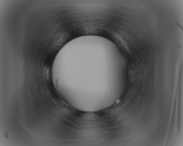 X0000091170123200709060942