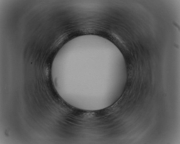 X0000091170124200709060942