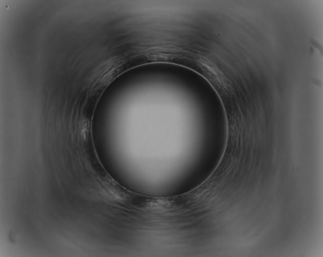 X0000091170125200709060942