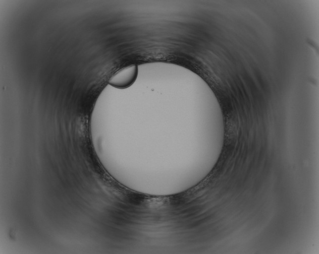 X0000091170126200709060942