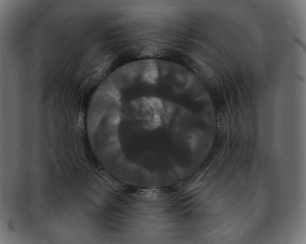 X0000091170127200709060942