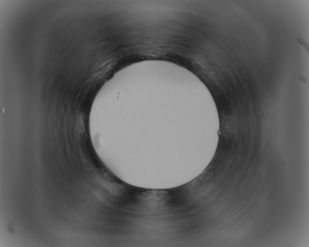 X0000091170128200709060942