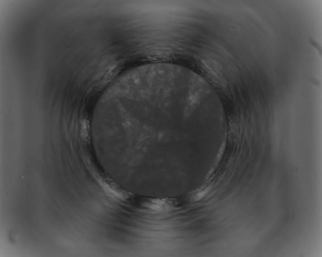X0000091170130200709060942