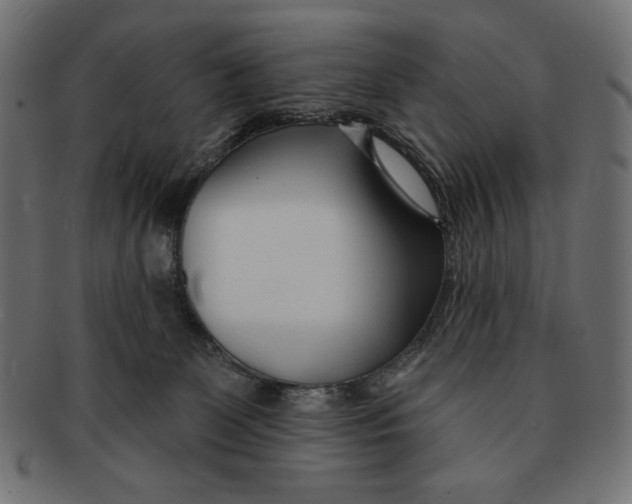 X0000091170131200709060942