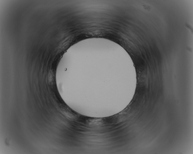 X0000091170132200709060942