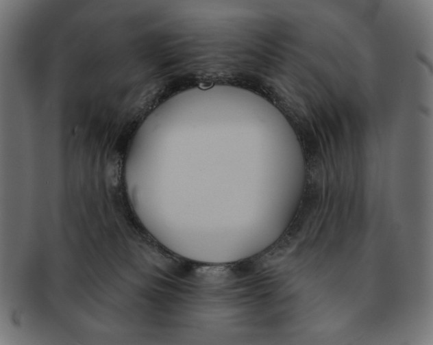 X0000091170133200709060942