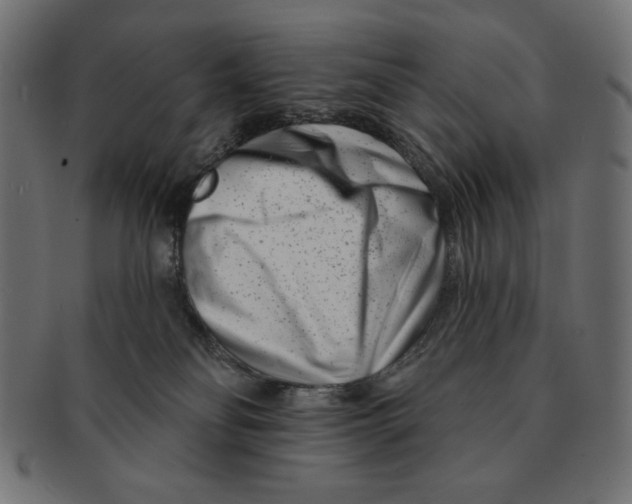 X0000091170134200709060942