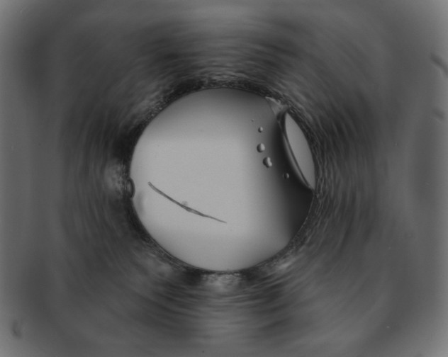 X0000091170135200709060942