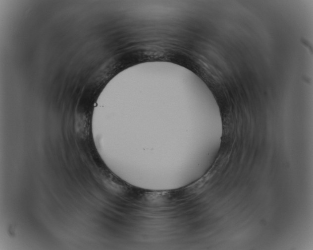 X0000091170136200709060942