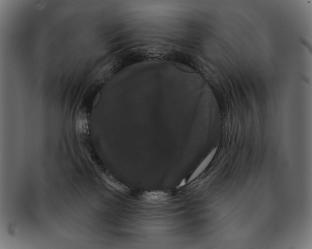 X0000091170137200709060942