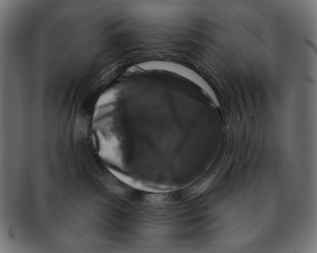 X0000091170139200709060941
