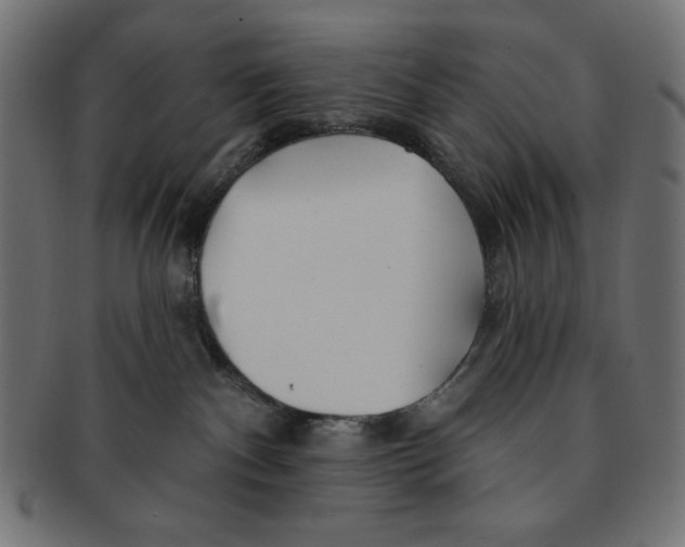 X0000091170140200709060941
