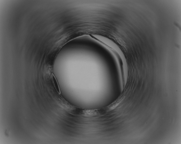 X0000091170141200709060941