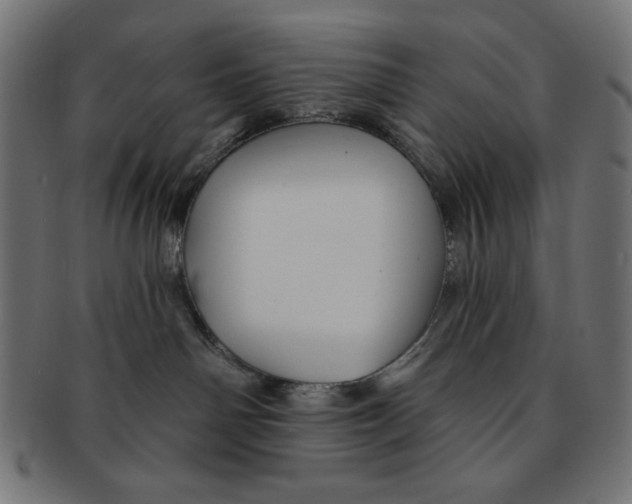 X0000091170142200709060941