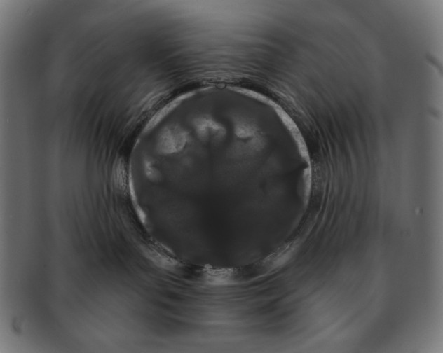 X0000091170143200709060941