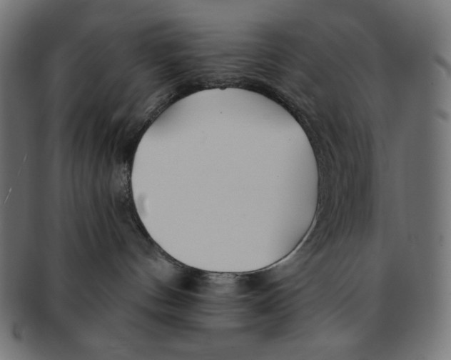 X0000091170144200709060941