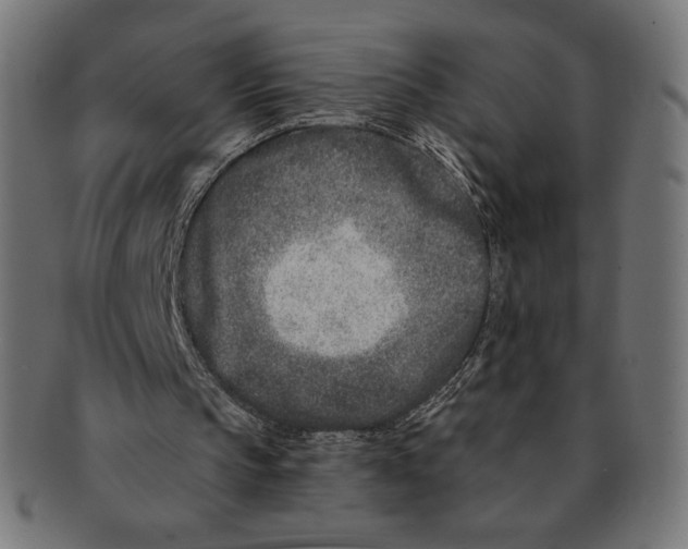 X0000091170145200709060941