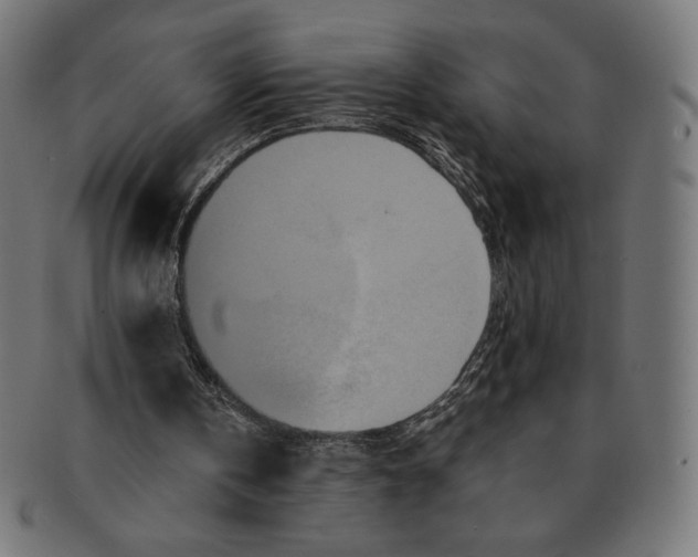 X0000091170146200709060941