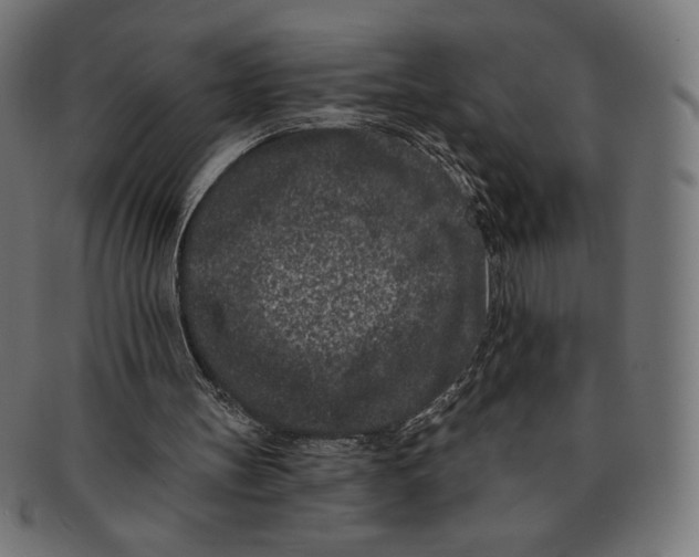 X0000091170147200709060941