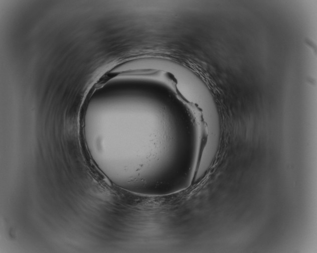 X0000091170148200709060941