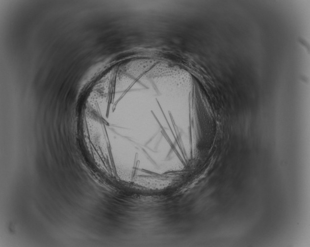 X0000091170149200709060941