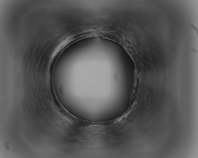 X0000091170150200709060941