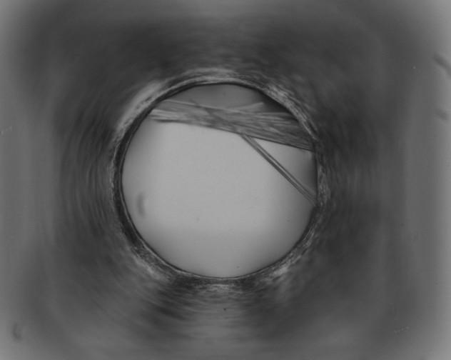 X0000091170151200709060941