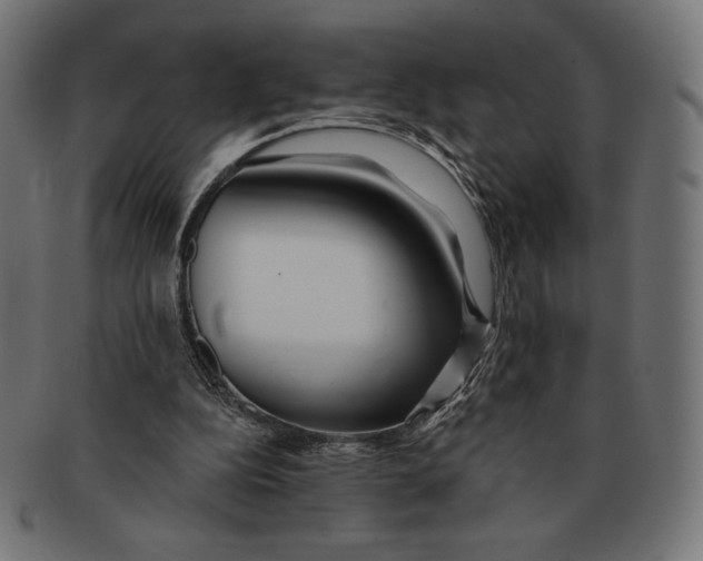 X0000091170152200709060941