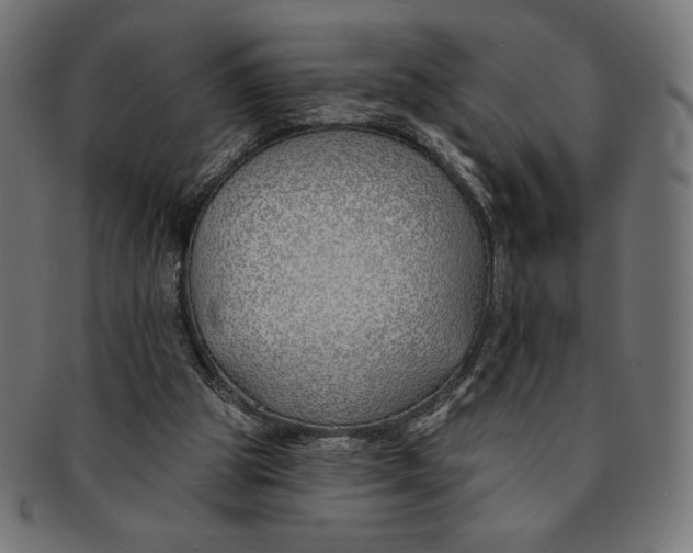X0000091170153200709060941