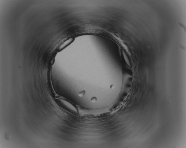X0000091170154200709060941