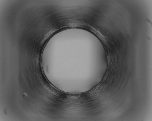 X0000091170155200709060941