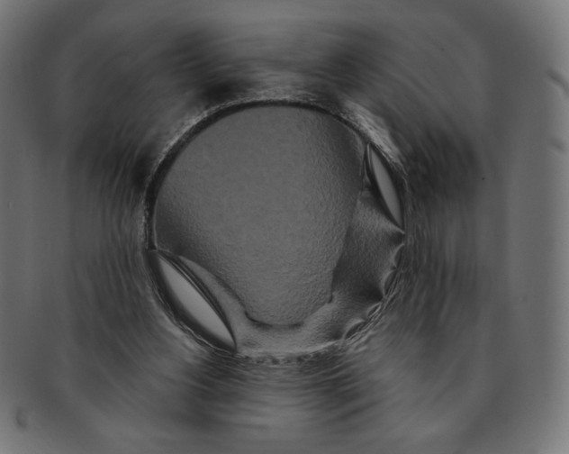 X0000091170156200709060941