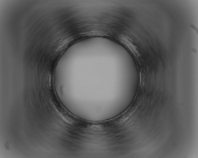 X0000091170157200709060941