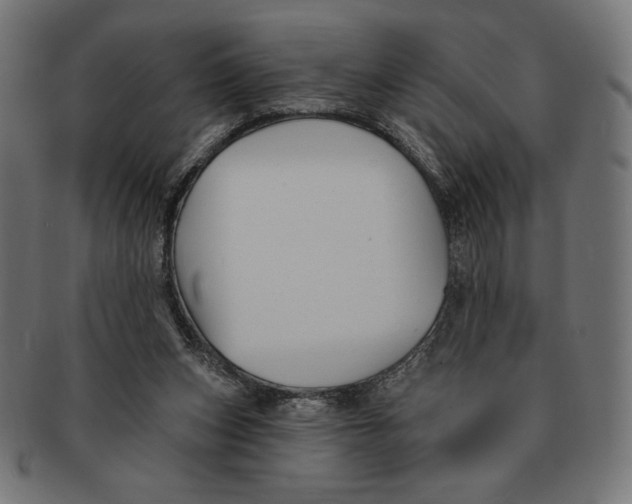 X0000091170159200709060941
