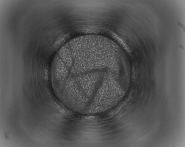 X0000091170161200709060941