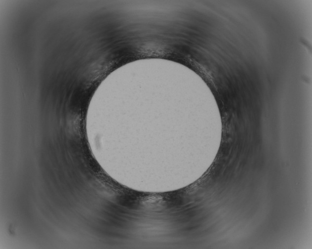X0000091170162200709060941